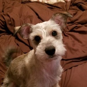 Meet your Posher, Edgar